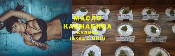 МДПВ Абаза