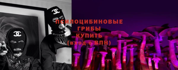 стаф Няндома
