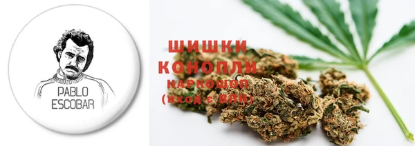 стаф Няндома