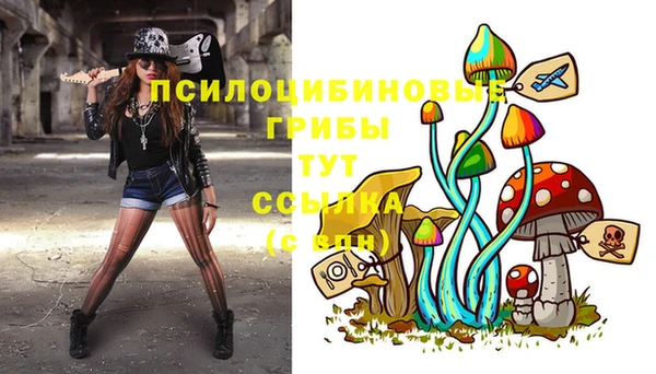стаф Няндома