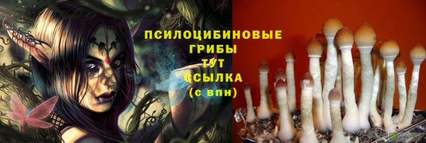 стаф Няндома