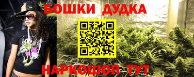 амф Дубна