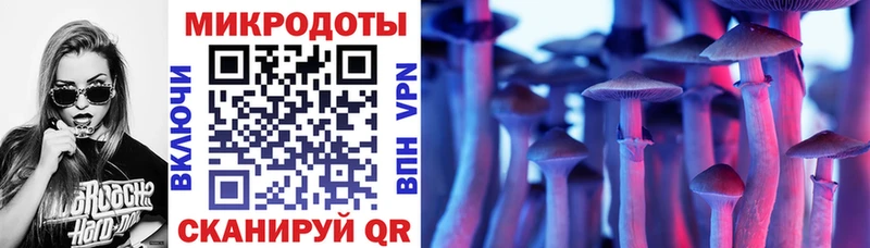 кракен ссылки Курчатов Псилоцибиновые грибы MAGIC MUSHROOMS