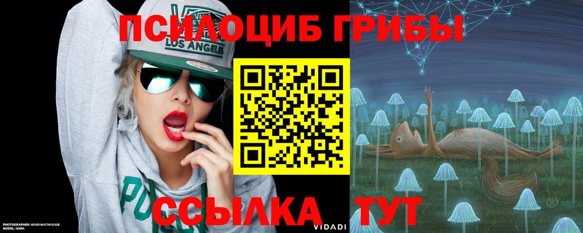 Лсд 25  Курчатов  Меф кристаллы  Вход с VPN  Каннабис  Гашиш  МЕТ 