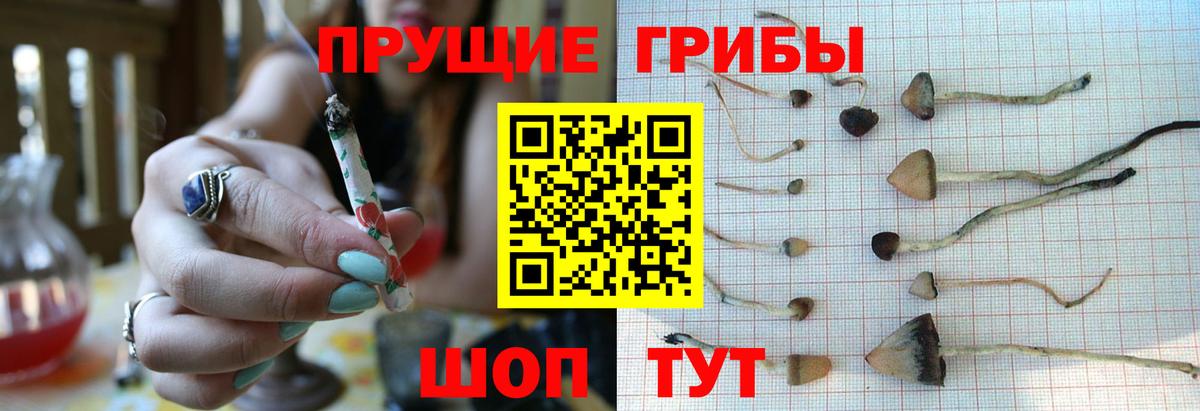 Галлюциногенные грибы Magic Shrooms Курчатов