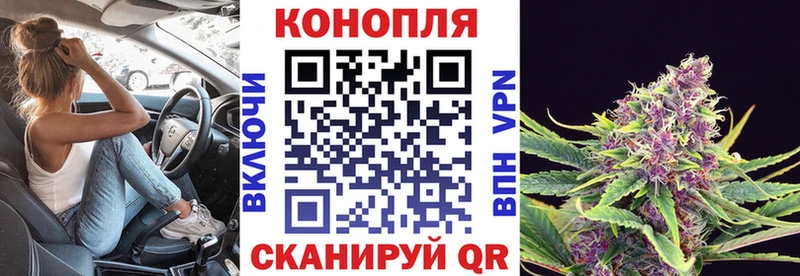 Марихуана индика  Курчатов 
